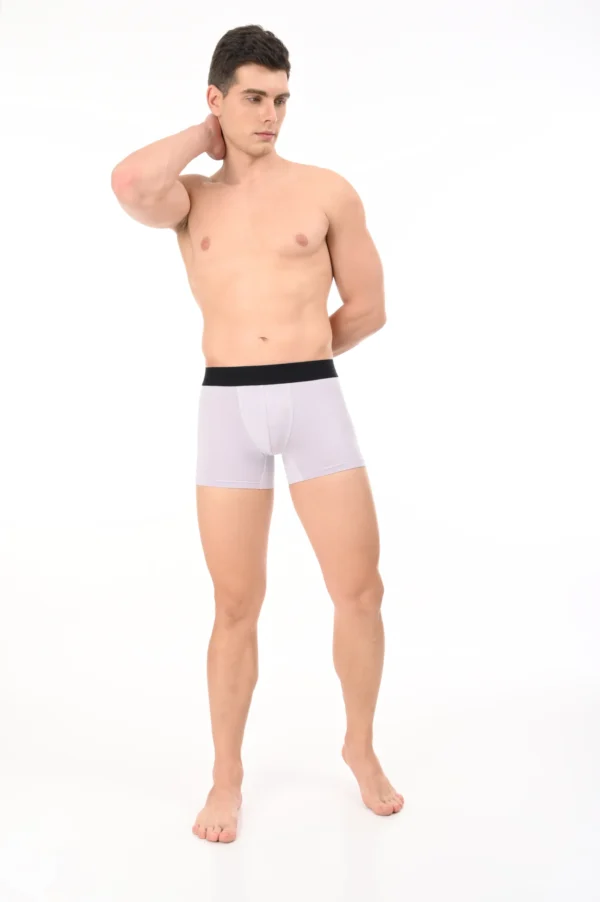 Wolf Ash Boxer