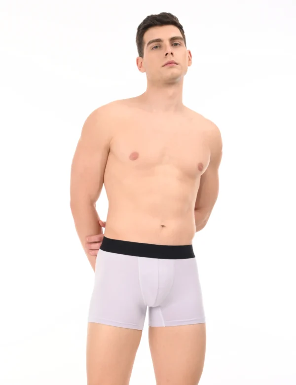 Wolf Ash Boxer - Image 2