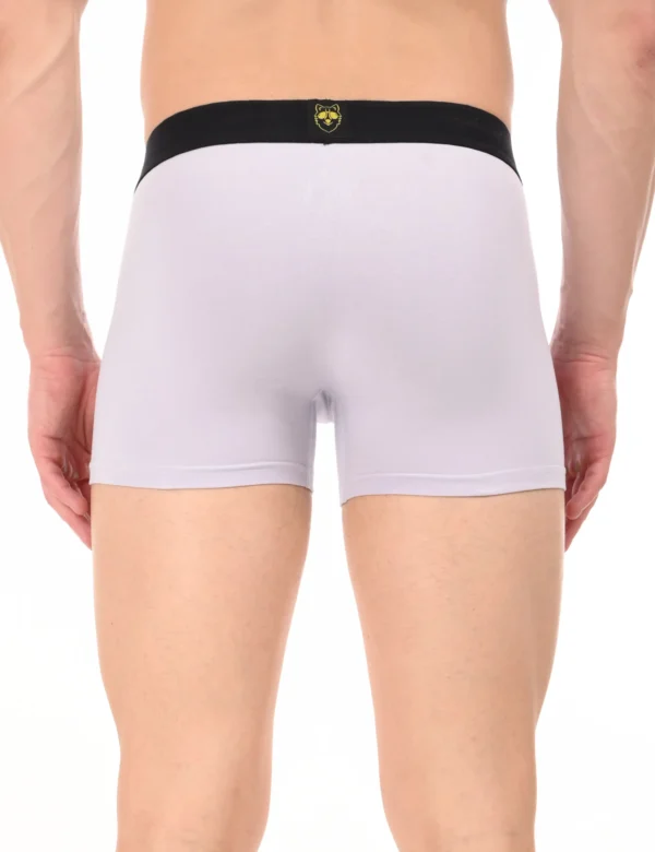 Wolf Ash Boxer - Image 3