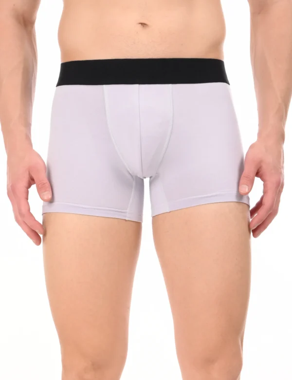 Wolf Ash Boxer - Image 4