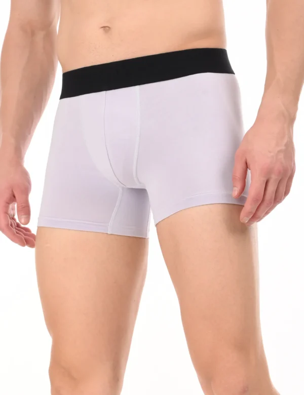 Wolf Ash Boxer - Image 5