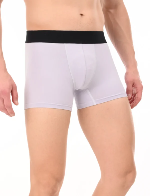 Wolf Ash Boxer - Image 6