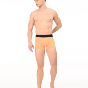 Burnt Ember Boxer