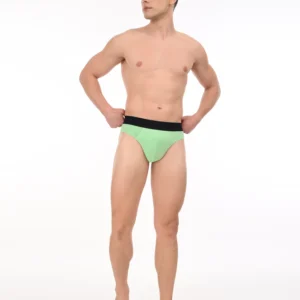 Wild Saga Brief