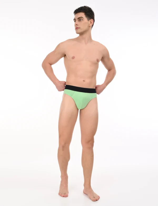 Wild Saga Brief