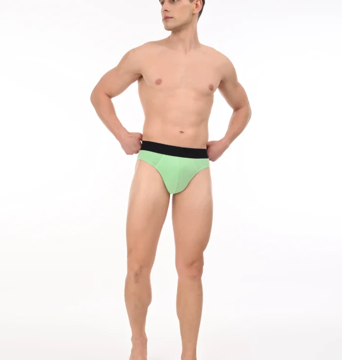 Wild Saga Brief