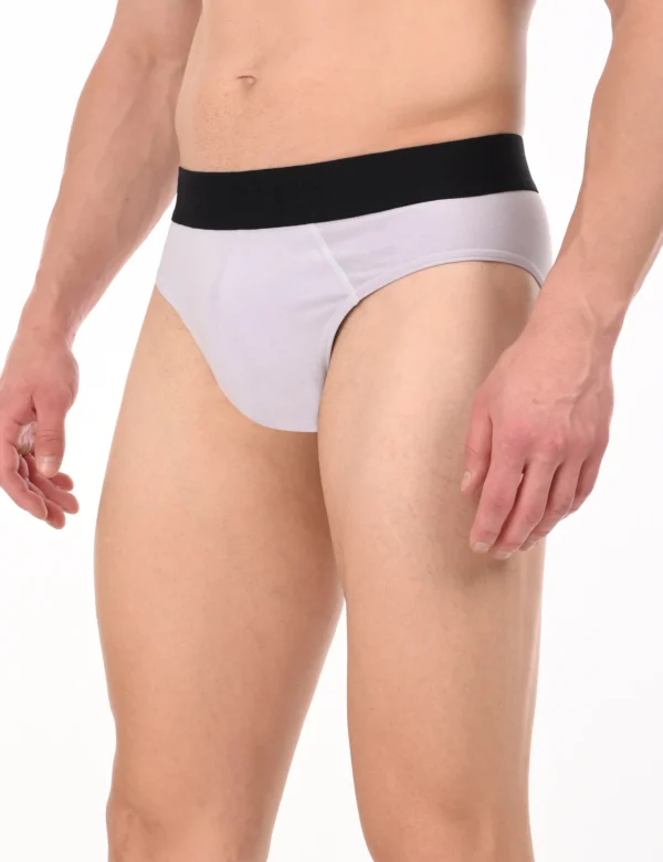 Wolf Ash Brief - Image 4