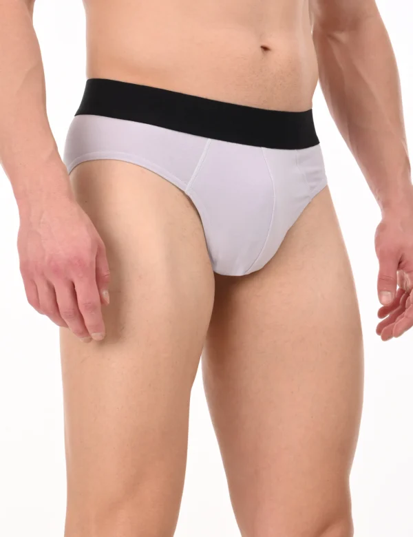 Wolf Ash Brief - Image 5