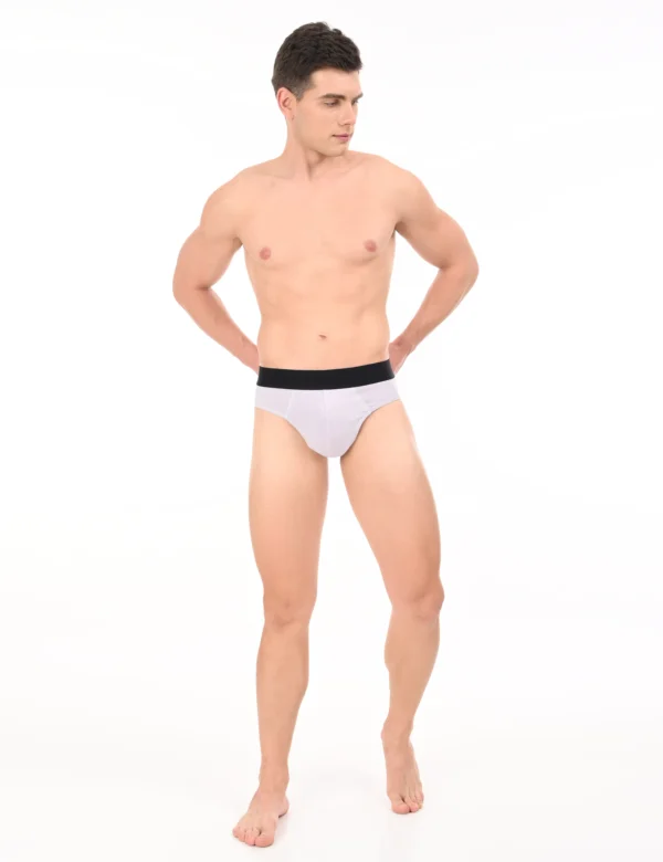 Wolf Ash Brief