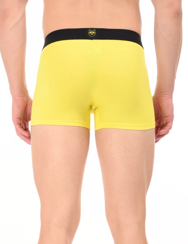 Regal Sun Boxer - Image 3