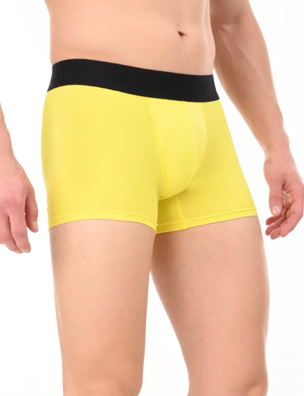 Regal Sun Boxer - Image 6