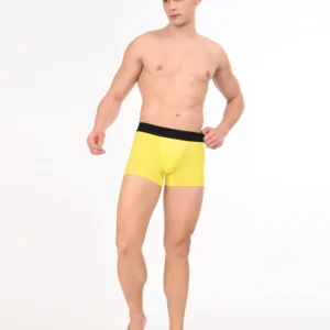 Regal Sun Boxer