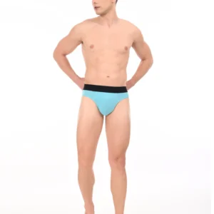 Titan Turquoise Modal Brief