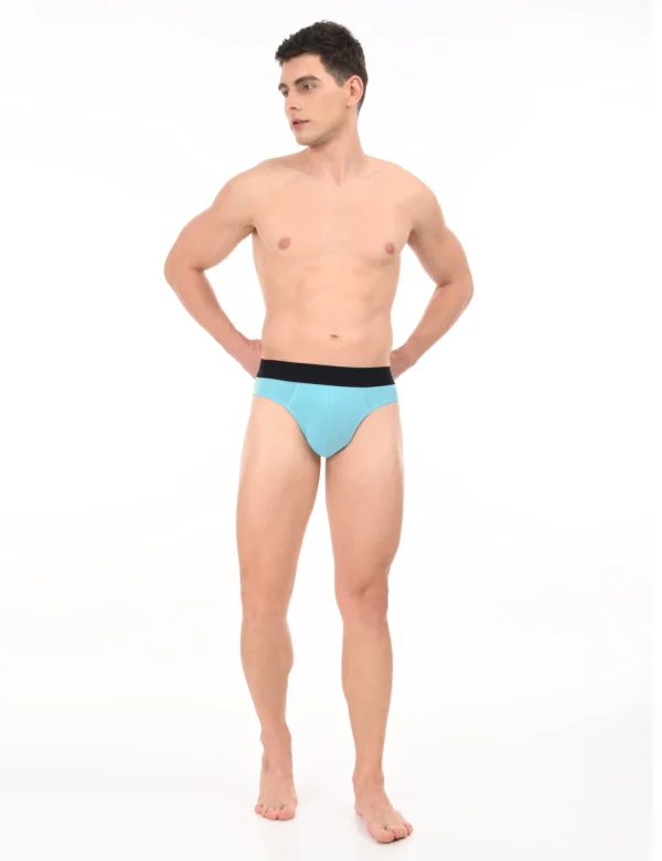 Titan Turquoise Modal Brief