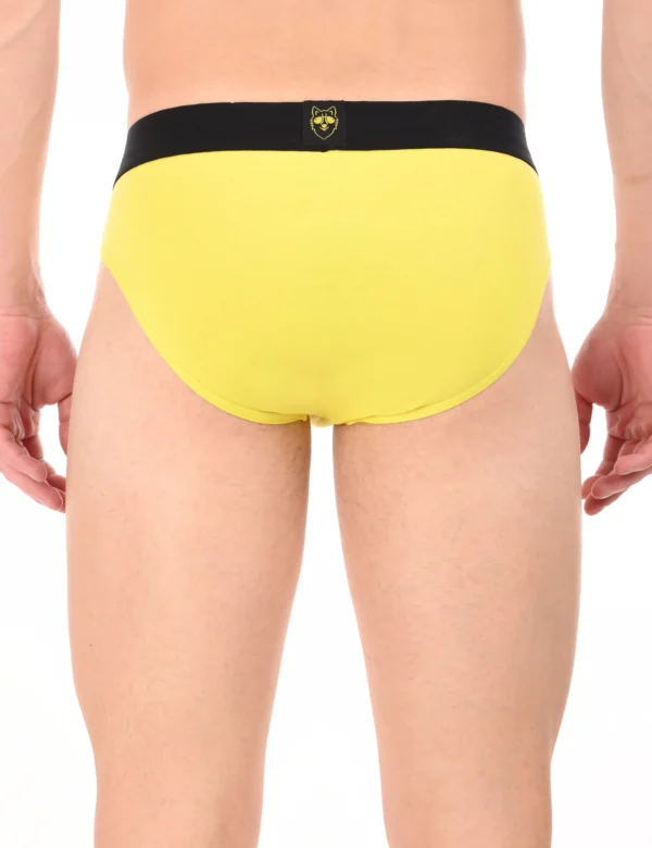 Regal Sun Brief - Image 2