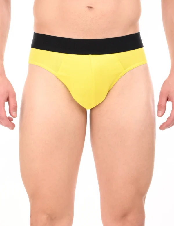 Regal Sun Brief - Image 3