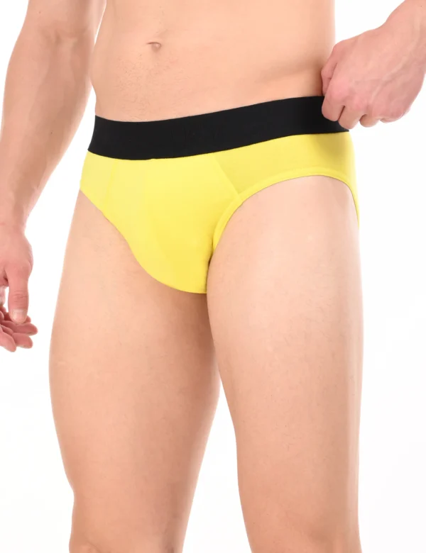 Regal Sun Brief - Image 4