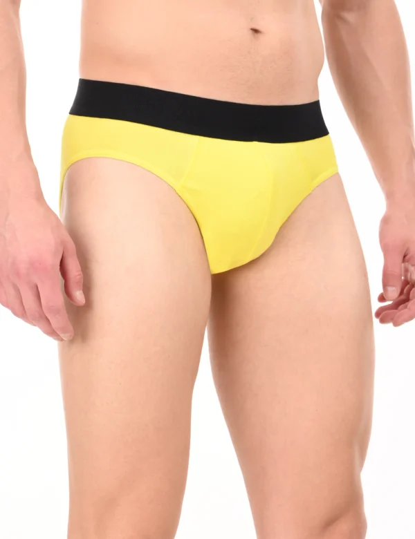 Regal Sun Brief - Image 5