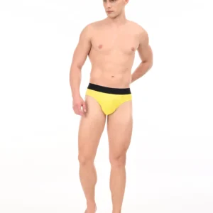 Regal Sun Brief