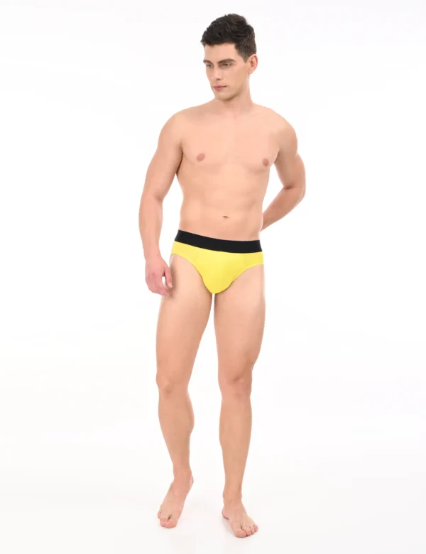 Regal Sun Brief
