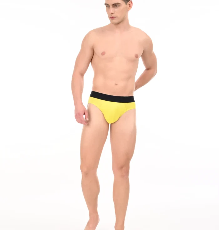 Sunny Flash Brief
