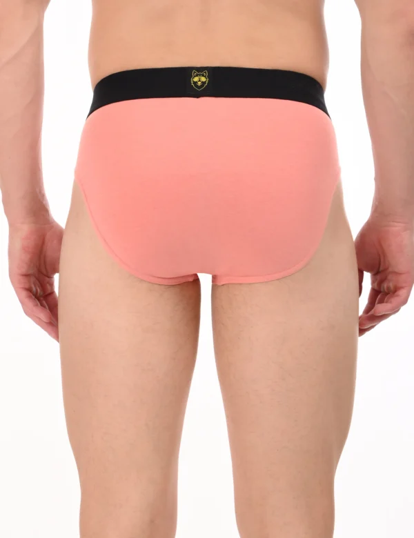 Canyon Clay  Modal Brief - Image 2