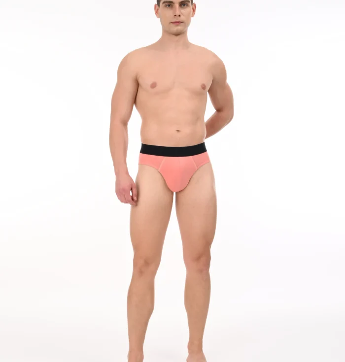 Ember Earth  Modal Brief
