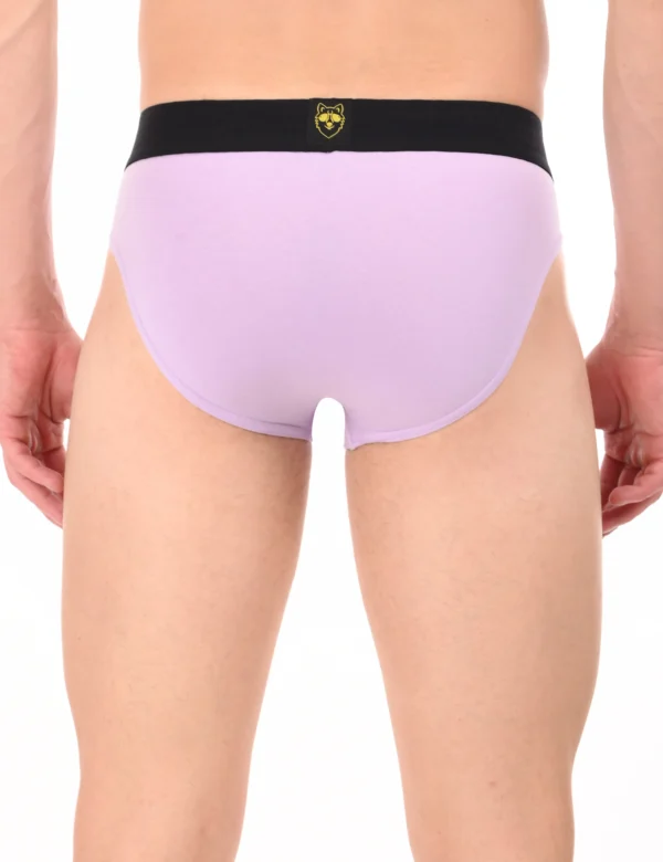Storm Lilac Modal Brief - Image 3
