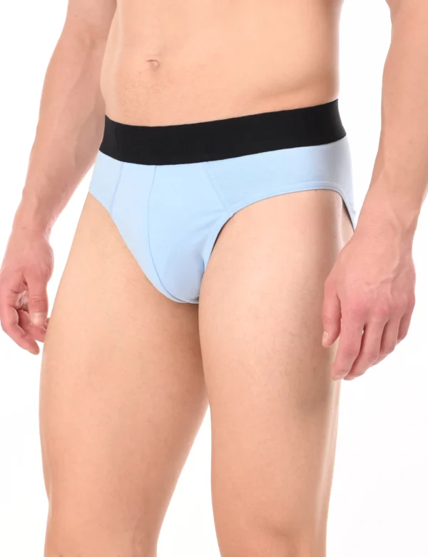 Arctic Sky Brief - Image 4