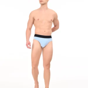Arctic Sky Brief