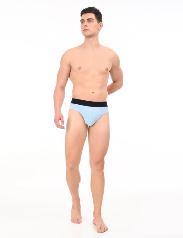 Arctic Sky Brief