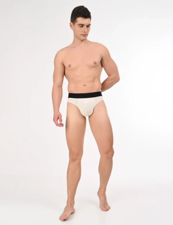 Wolf Mist Modal Brief