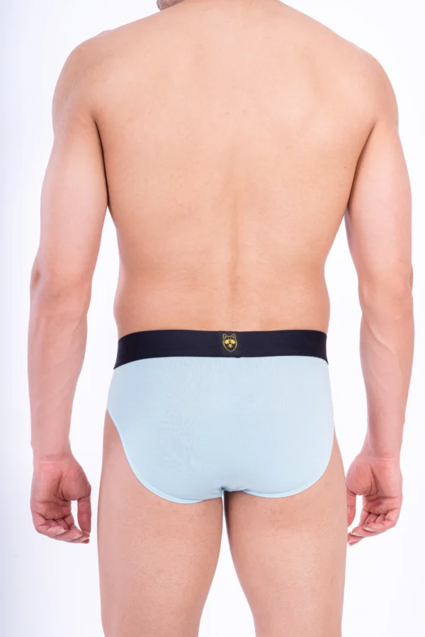 Misty Bamboo Brief - Image 5