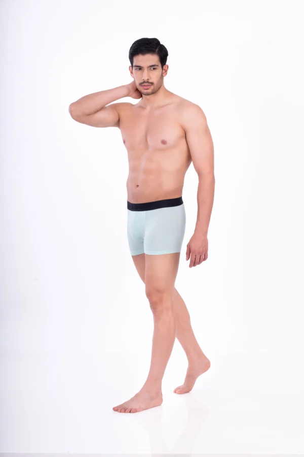 Frosted Bamboo Boxer - Image 2