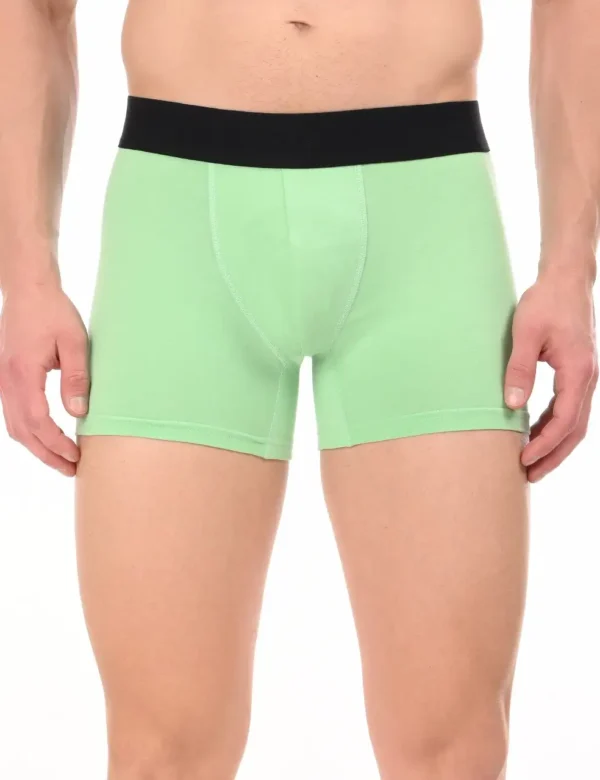 Wild Saga Boxer - Image 5