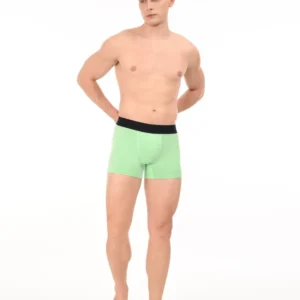 Wild Saga Boxer