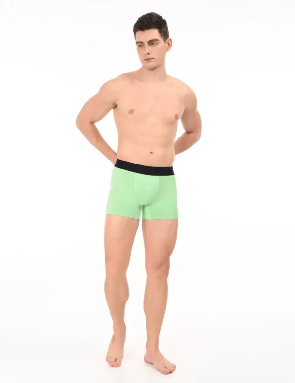 Wild Saga Boxer