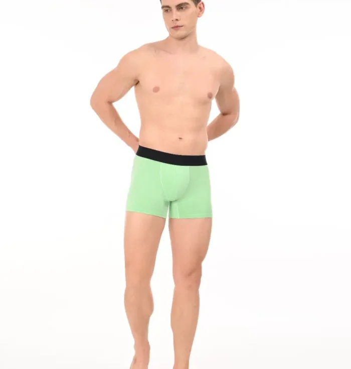 Wild Saga Boxer