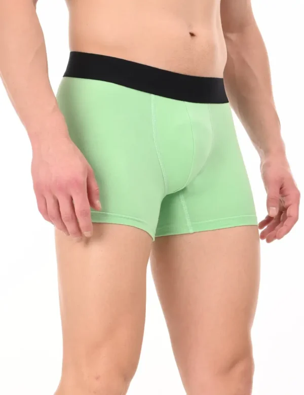 Wild Saga Boxer - Image 3