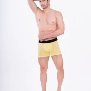 Wild Honey Bamboo Boxer