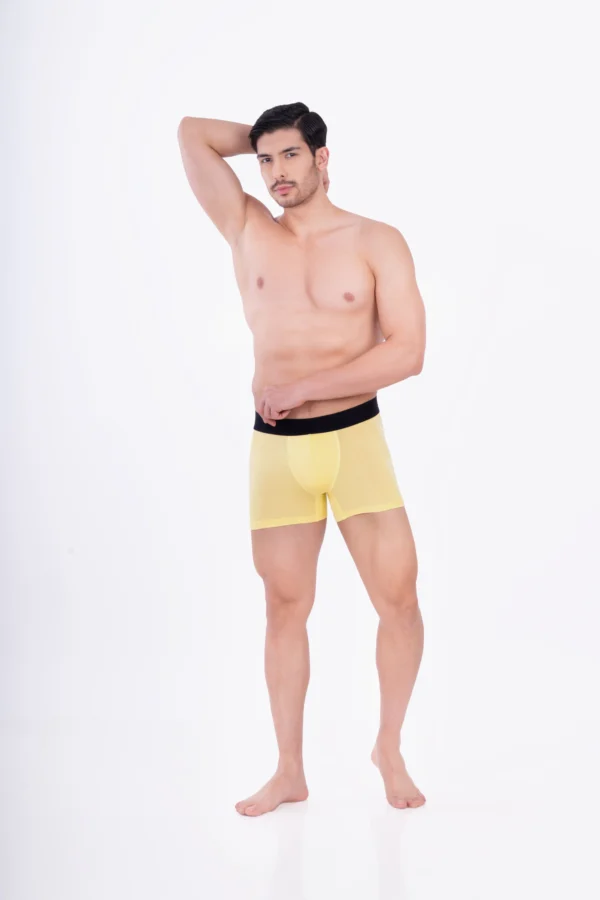 Wild Honey Bamboo Boxer