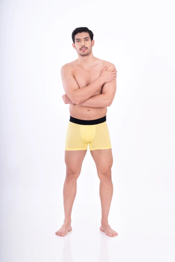 Wild Honey Bamboo Boxer - Image 2
