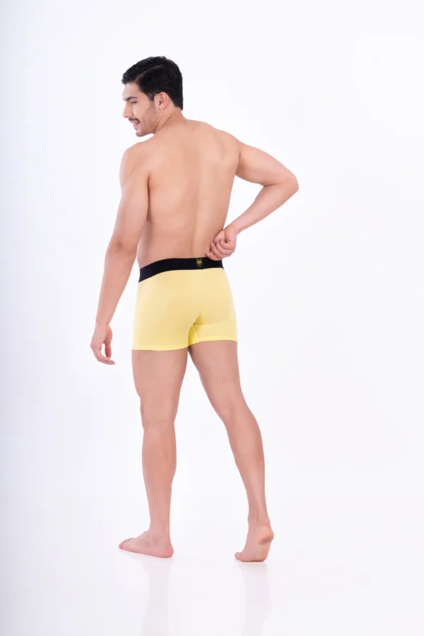 Wild Honey Bamboo Boxer - Image 4
