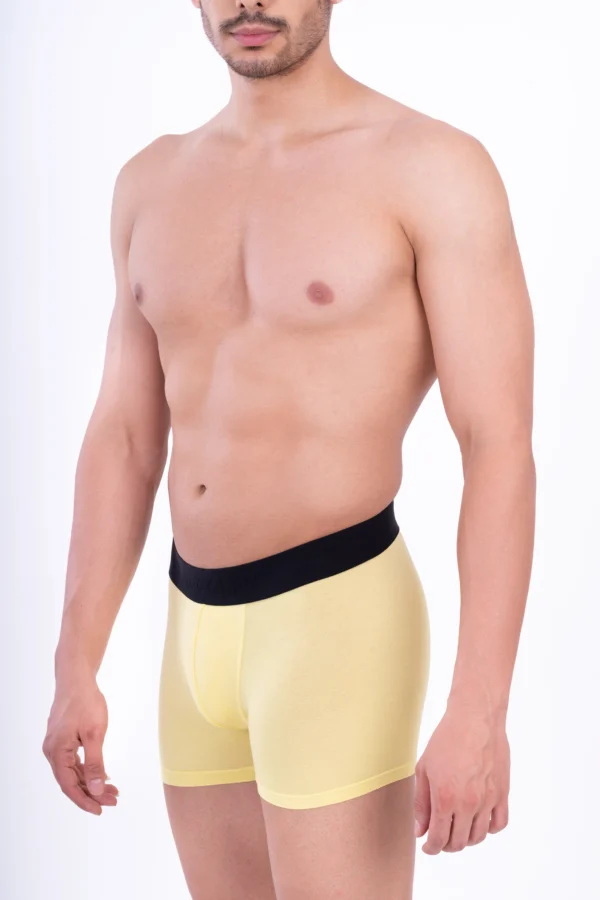 Wild Honey Bamboo Boxer - Image 5