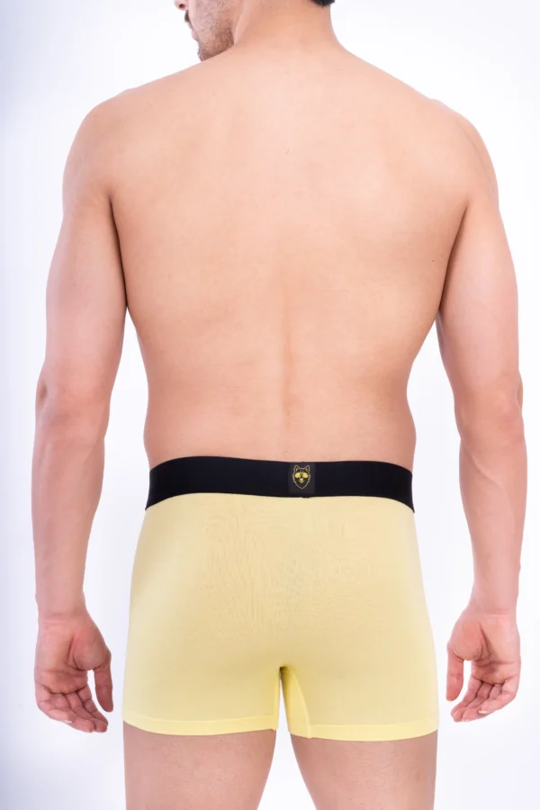 Wild Honey Bamboo Boxer - Image 6